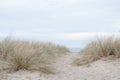 Northern seascape, sand dunes and grass, path to the sea