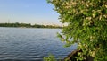 Borisovsky pond. View from the shore (Moscow, Russia, Borisivo)