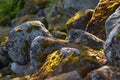 Northern stones Royalty Free Stock Photo