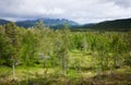 Summer landscape with mountains in Norway