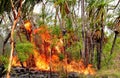 Northern territory bushfire