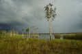 Northern territory wetland with incoming storm
