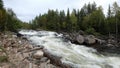 Northern turbulent river beyond the Arctic Circle. Stream on the threshold of Kolva or Kolvitsi in autumn with long exposure.