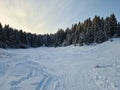 Northern Urals snow and trees with sunset