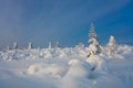 Northern Winter Landscape - beautiful Polar nature