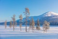 Northern winter landscape - pine trees, forest and mountain