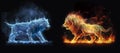 The northern wolf of their blue cold energy against the fiery lion from the element of fire, art illustration