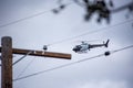 Northridge, CA / United States - May 27, 2019: LAPD Air Unit and Patrol Units respond to brandishing/ADW call in suburban