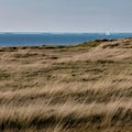 northsea coast with dunes, ai-generatet Royalty Free Stock Photo