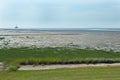 Northsea landscape during ebb