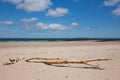 Northumberland beach and coast at Bamburgh north east England UK with view to the Farne islands and driftwood Royalty Free Stock Photo