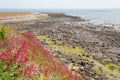 Northumberland Coastline