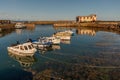 St Abbs Harbour Royalty Free Stock Photo