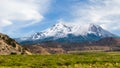 Northwest flank view of Mount Shasta volcano in Northern California Royalty Free Stock Photo