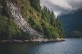 Northwest Misty Fjords Forest