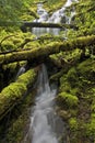 Northwest waterfall stream