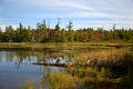 Northwoods Lake Royalty Free Stock Photo