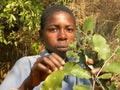 African boy sampling wild toothache herbs