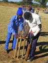 Boys playing mini cricket at a school ground. Royalty Free Stock Photo