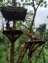 Nortourist attractions with a natural concept in North Lombok Regency, tree houses made of wood and thatched roofs