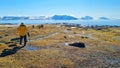 Norway, archipelago Spitsbergen - June 2023: Travelers hiking on a marshy plateau against the backdrop of wild Arctic nature Royalty Free Stock Photo