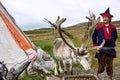 Norway: Deer and reindeer breeder dressed in national clothes the Sami in the area of town Honningsvag. The Sami are the people Royalty Free Stock Photo