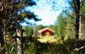 Norway distant farm house in woods background Royalty Free Stock Photo