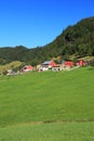 Norway - farms of Vestland county Royalty Free Stock Photo