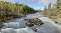 Roaring white water running down the river in autumn in Norway Royalty Free Stock Photo