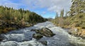 Roaring white water running down the river in autumn in Norway Royalty Free Stock Photo