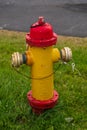 Fire hydrant in Reykjavik Iceland