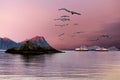 Lofoten Islands Sunrise Seascape Royalty Free Stock Photo