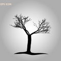 Norway maple architectonics. The structure of the tree branches and trunk. Vector drawing of the tree on a white background eps10