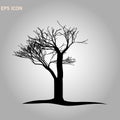 Norway maple architectonics. The structure of the tree branches and trunk. Vector drawing of the tree on a white background eps 10