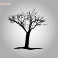 Norway maple architectonics. The structure of the tree branches and trunk. Vector drawing of the tree on a white background