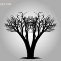 Norway maple architectonics. The structure of the tree branches and trunk. Vector drawing of the tree on a white background eps10