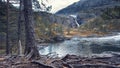 Norway nature landscape, fancy tree roots and waterfall in the national park valley of the Husedalen waterfalls in autumn