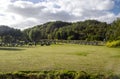 Norway Protestant Cemetery Royalty Free Stock Photo