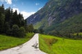 Norway road green meadow landscapes beauty in nature mountains and forest