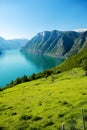 Norway Sognefjord at summer Royalty Free Stock Photo