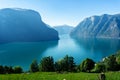 Norway Sognefjord at summer Royalty Free Stock Photo