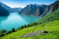 Norway Sognefjord at summer Royalty Free Stock Photo