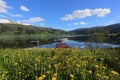 Norway spring Landscape - lake and snowly mountains wits flowers on foreground