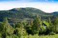 Norwegian fjord landscape in the summer Royalty Free Stock Photo