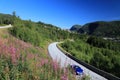 Norway - Sunnfjord municipality road Royalty Free Stock Photo