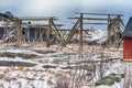 Norway Traveling. Wooden Poles Constructions Made for Cod Drying Procedure at Lofoten Islands in Norway