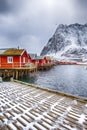 Norway Travelling and Destinations. Picturesque Reine Viewpoint