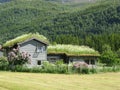 Norway typical farm house