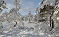 Norway in Winter
