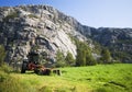 Norwegian agriculture Royalty Free Stock Photo